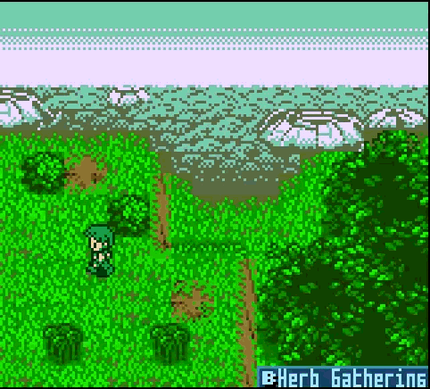 Herb Gathering